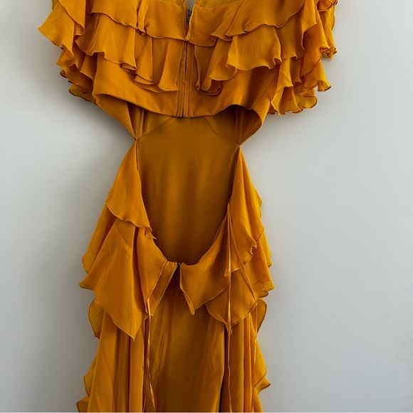 Ruffled Silk Revolve Dress - Picture 5 of 8